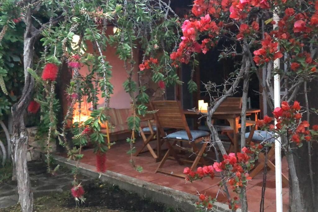 Villetta La Cinta San Teodoro  Dış mekan fotoğraf